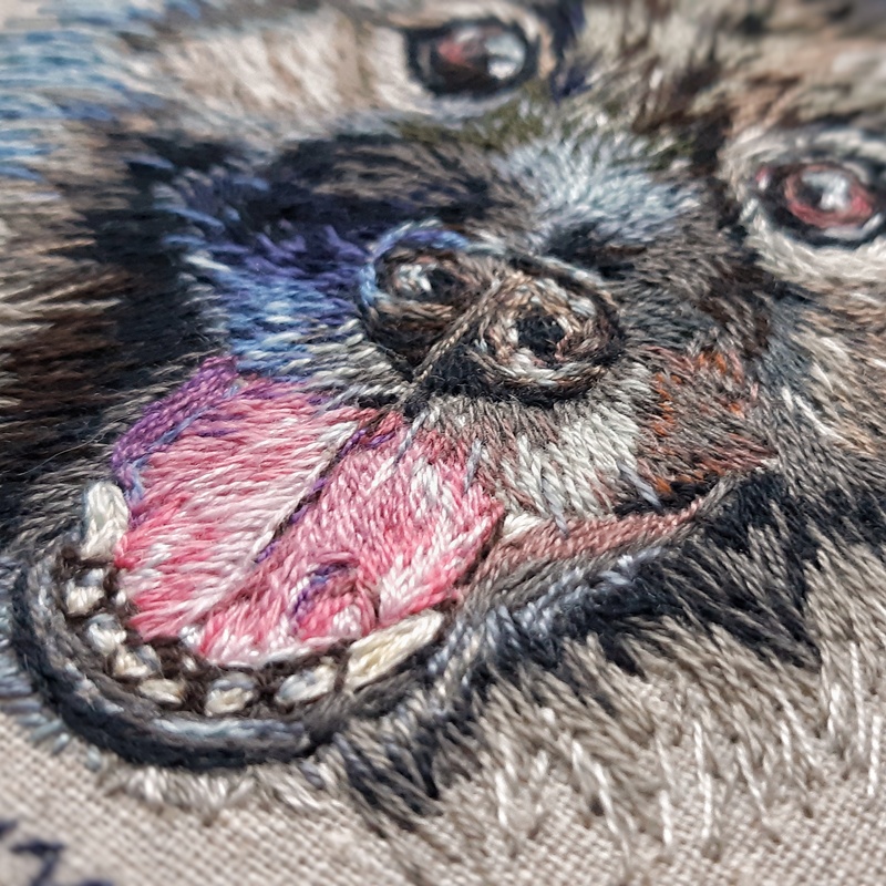 Details of pet portrait