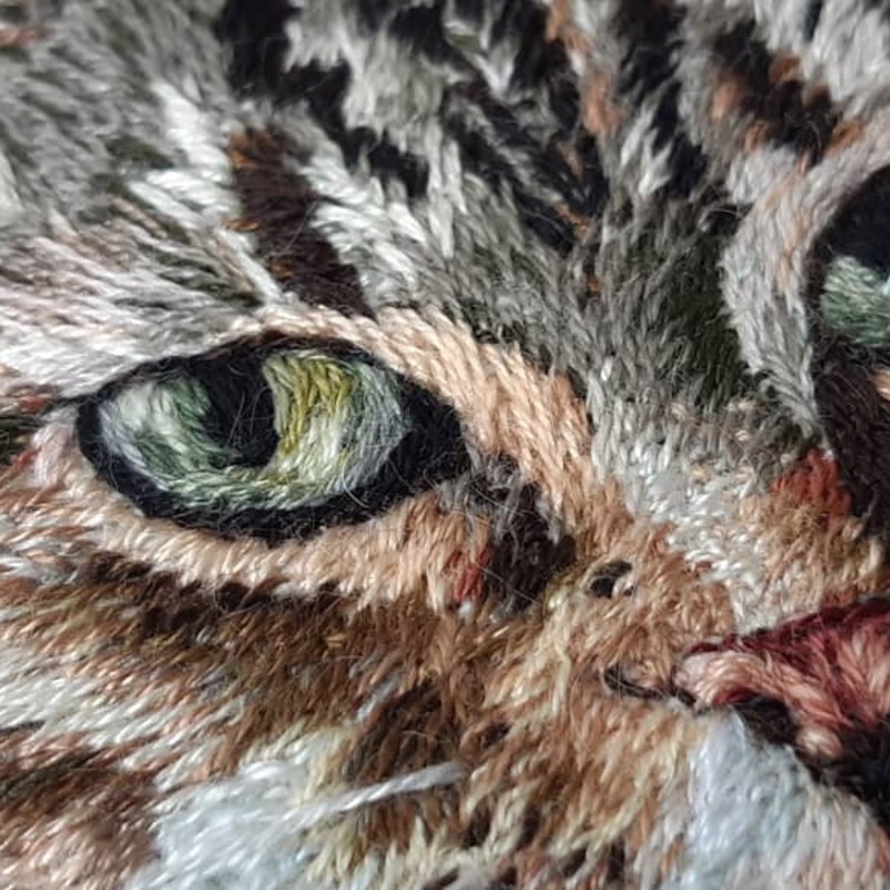 Details of pet portrait